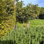 La Casetta Di Lollo