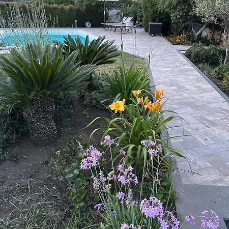 La Casetta Di Lollo Holiday home *