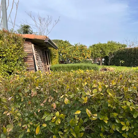 La Casetta Di Lollo Holiday home *